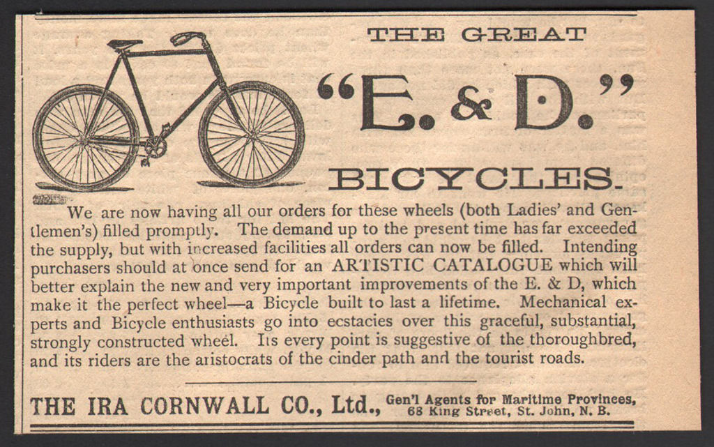 evans cycles ladies bikes